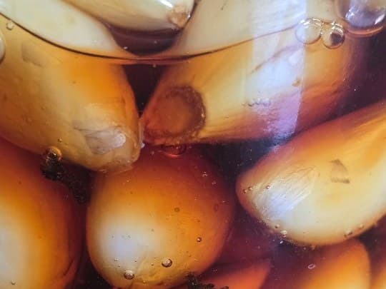 Vidro de mel de alho fermentado com cúrcuma e cravo, na cozinha do autor