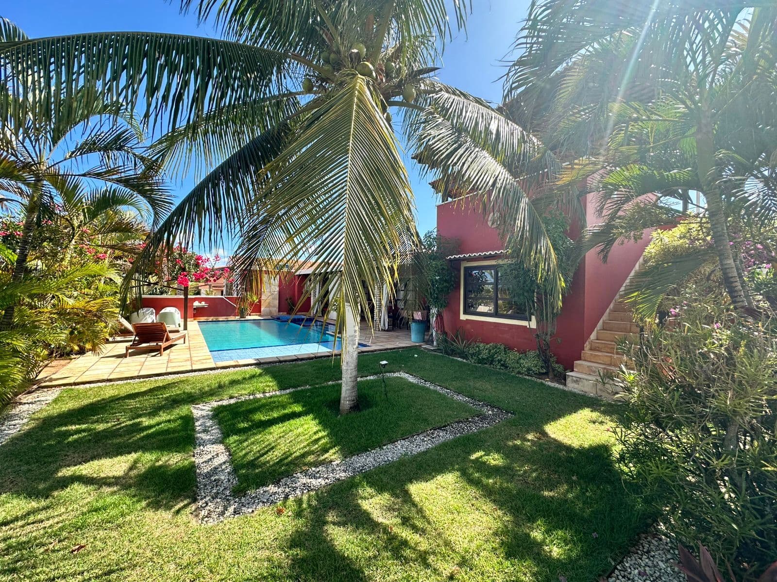 O gramado da casa com um coqueiro carregado e a piscina ao fundo