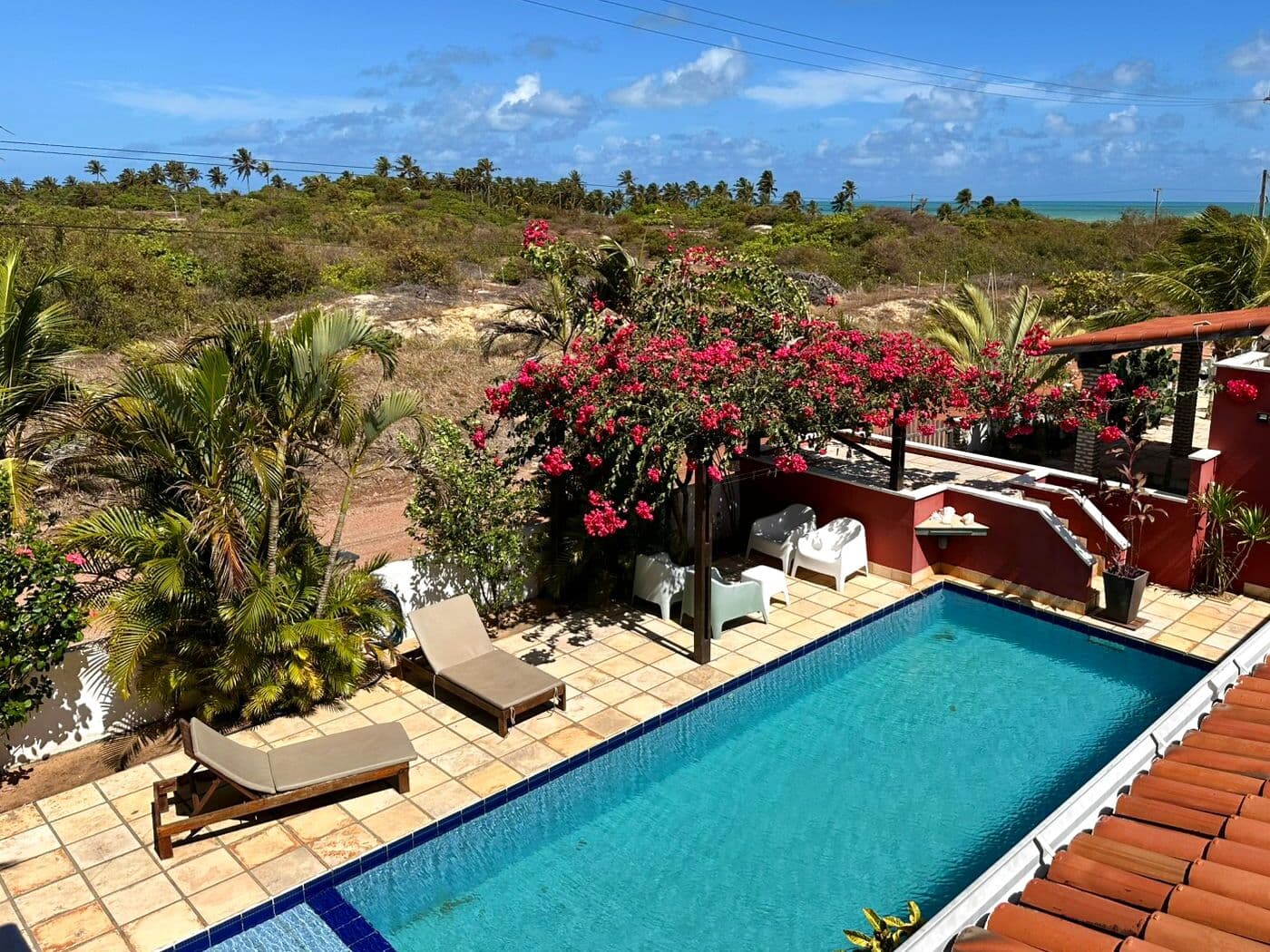 A piscina da Rota Alcalina vista de cima, com a buganvília em flor e o mar na linha do horizonte